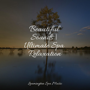 Beautiful Sounds | Ultimate Spa Relaxation album