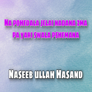 Naseeb ullah Hasand - Na pohedala jelai nadana zma pa yari swala pshemana