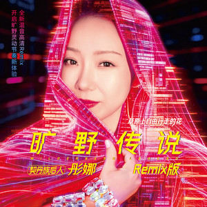 走天涯 - DJ版 by 彤娜, DJ小辉