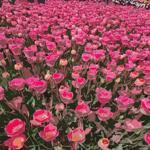 Blossom by Arel