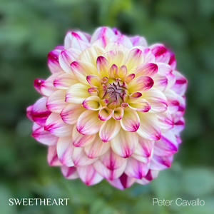 Sweetheart by Peter Cavallo