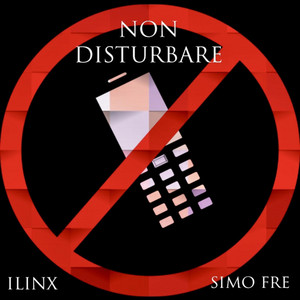 Non Disturbare by Ilinx