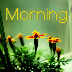 Morning