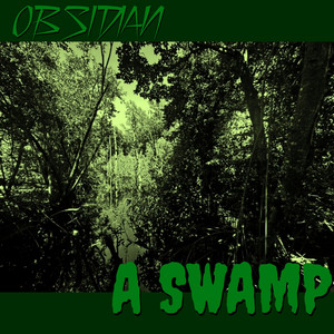 A Swamp by Obsidian