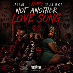 Not Another Love Song (Remix) by Jayvan, Sally Sossa
