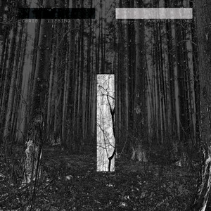 Circles (feat. Tom Adams & Ralf Hildenbeutel) - Single Mix
