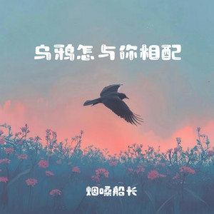 乌鸦怎与你相配 - 我好像在放弃你又好像在等你 by 烟嗓船长