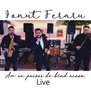 Ionut Feraru - Am un puisor de brad acasa (Live)