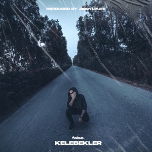 Kelebekler