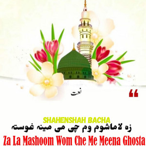 Za La Mashoom Wom Che Me Meena Ghosta Naat