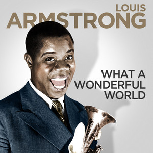 その他 Wonderful World of Louis Armstrong [DVD] Louis Armstrong Plak, CD, DVD Satın Al