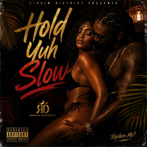Hold Yuh Slow by Riddim District
