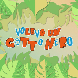 Volevo un gatto nero