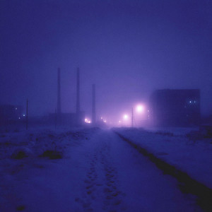 nights with u by little light