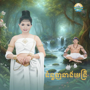 ហ៊ឹម ស៊ីវន - ទំនួញនាងមេទ្រី