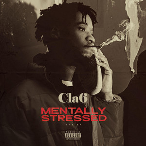 Mentally Stressed cover
