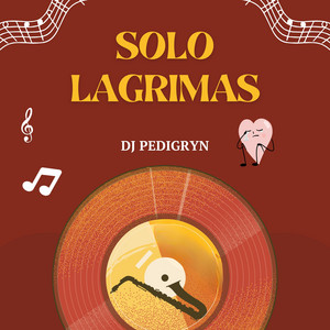 Solo Lagrimas by DJ PEDIGRYN