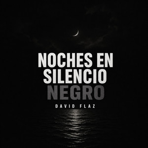 Noches en Silencio Negro by david flaz