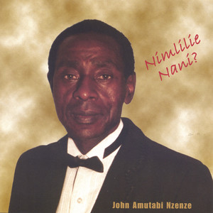 John Nzenze - Ajali