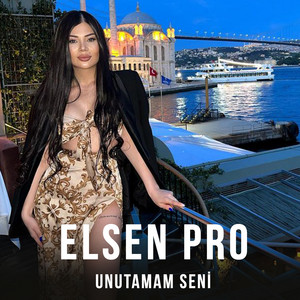 Elsen Pro - Unutamam Seni