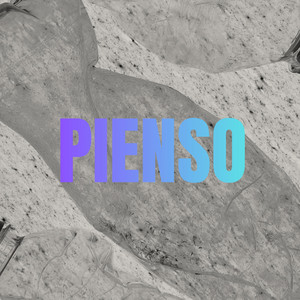 Pienso by MONDYU