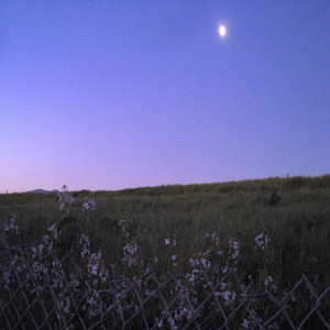 am I here to live like I'm broken? by neuronist
