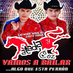 El Pasito Perron