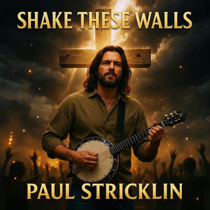 HEAVEN HEARD MY CRY by Paul Stricklin