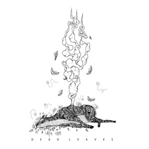 Framework by Dead Leaves