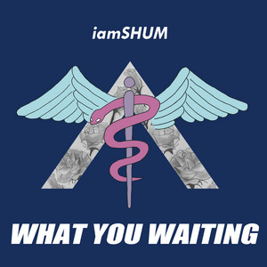 iamSHUM - What You Waiting
