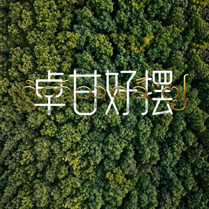 卓甘好摆(勐腊2026泼水节主题曲)
