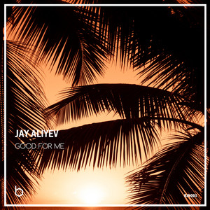 Good for Me by Jay Aliyev