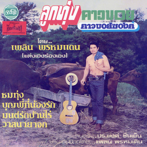 ชมทุ่ง by เพลิน พรหมแดน