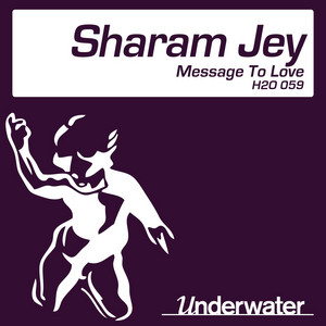 Message To Love