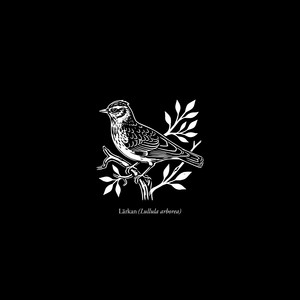 Lärkan by Just, Math-Mic