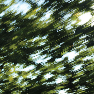 Alive by the downs, Jeffrey Louis-Reed, Audiosushi