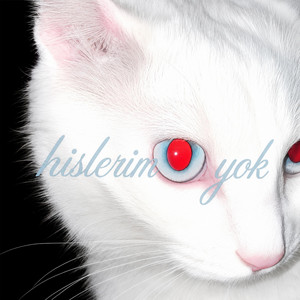 hislerim yok by wlain, swoe