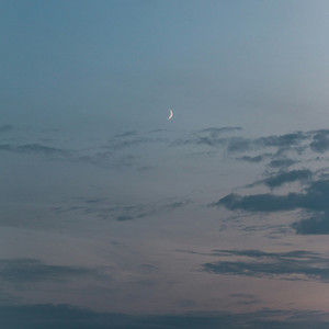 repose by nest.