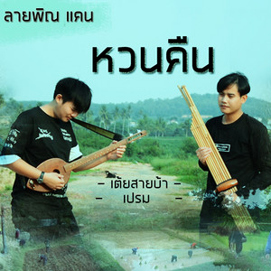 เต้ย สายบ้า - ลายพิณแคนหวนคืน