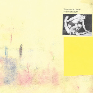 My Conditions by The Hobknobs