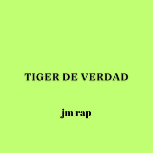 Tyger de Verdad by K2INTRUMENTAL