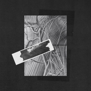 L'Aliment by Mount Palomar, Karla Chubb