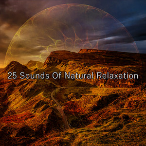 25 Sounds Of Natural Relaxation album