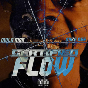 Portada de Certified flow