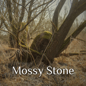 Mossy Stone by Fabian Zechmeister