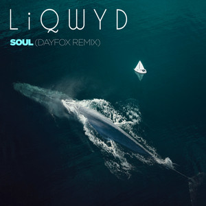 Soul - DayFox Remix by LiQWYD, DayFox