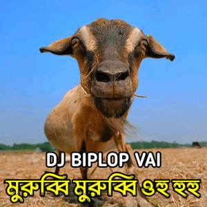 DJ BIPLOP VAI - মুরুব্বি মুরুব্বি ওহ হুহু পিলিজ আমাকে ক্ষমা করে দাও