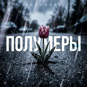 Полумеры by Прокопец