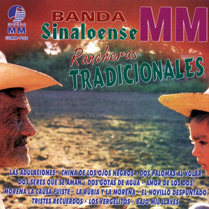 Banda Sinaloense MM - El Novillo Despuntado