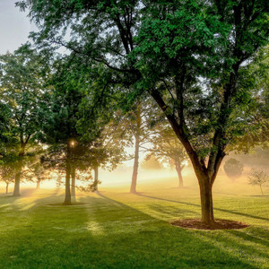 Spring morning